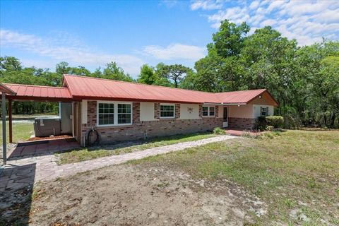 7095 SOUTH STREET WEBSTER FL 33597