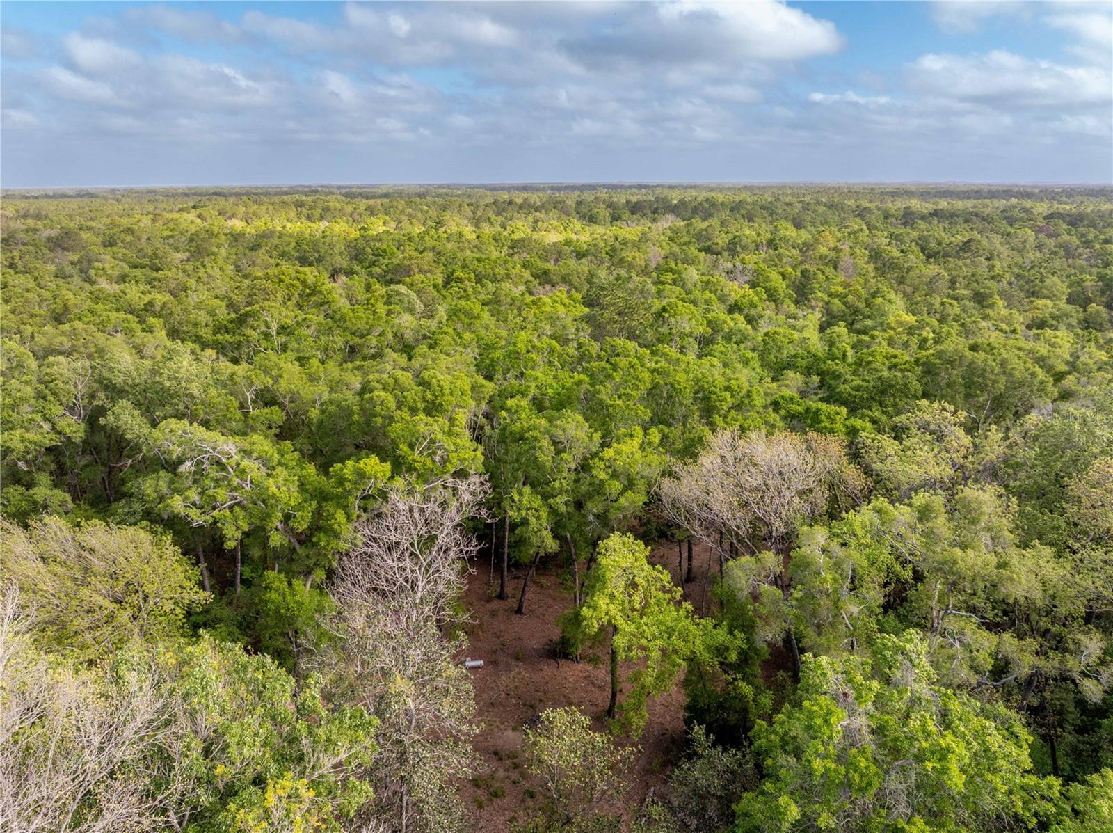 RUM ISLAND RANCHES UNREC. - Land