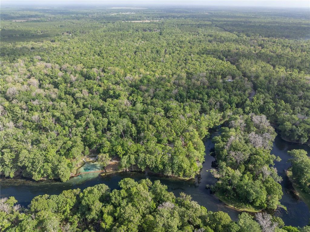 Photo of 290 SW Rattlesnake Glen, Fort White, FL 32038 (MLS # GC539754)