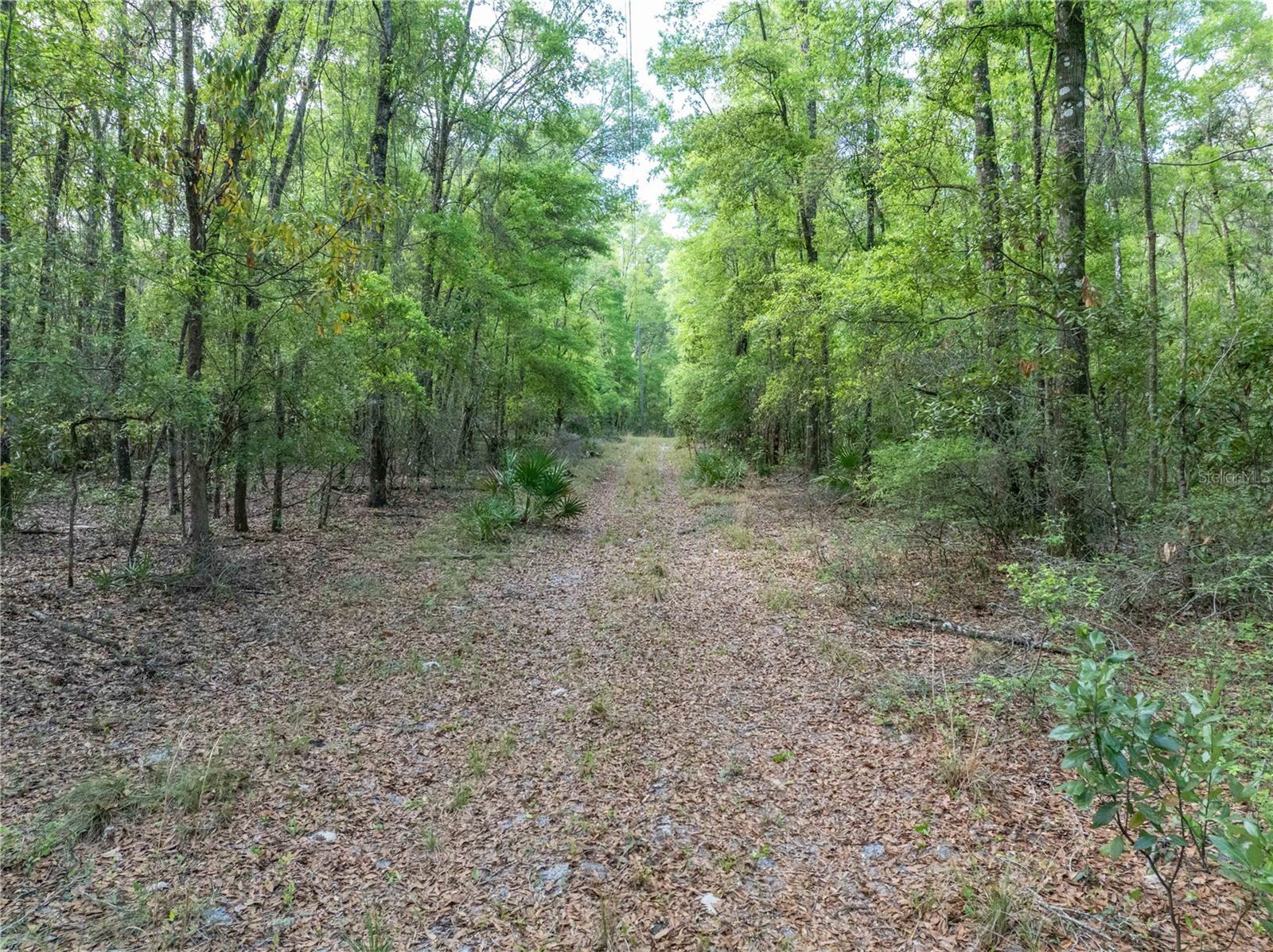 RUM ISLAND RANCHES UNREC. - Land