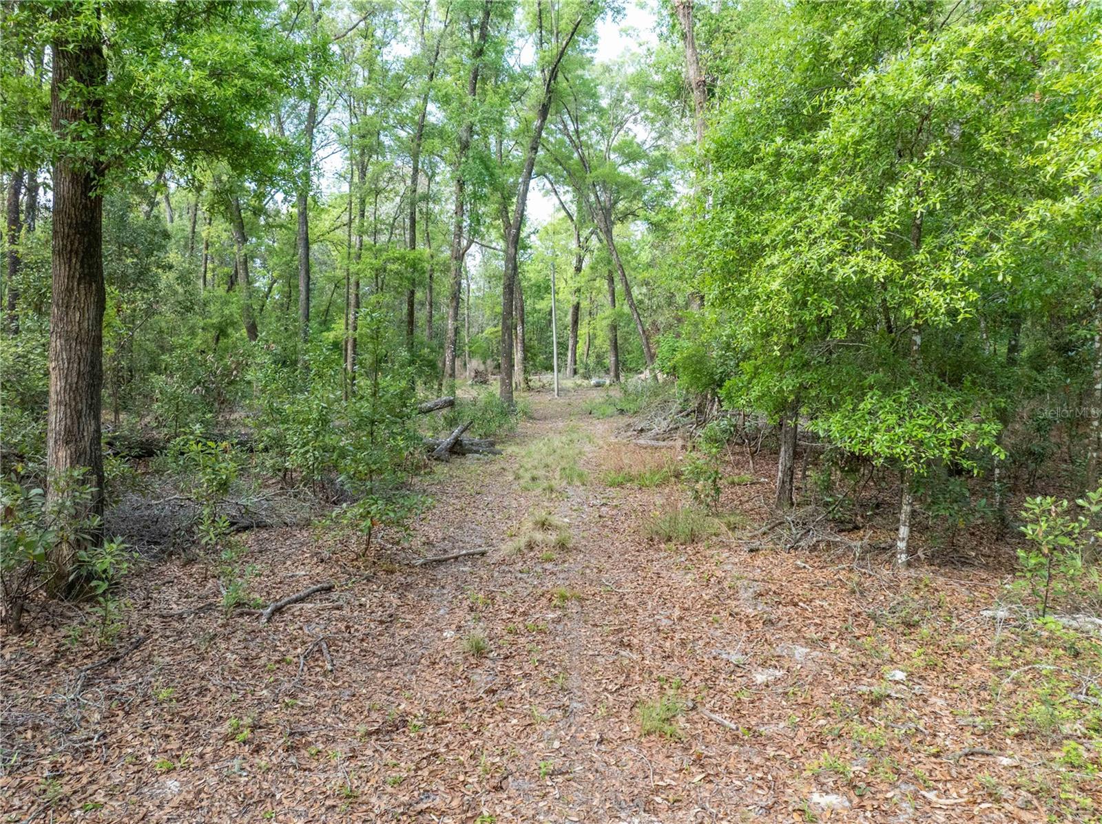 RUM ISLAND RANCHES UNREC. - Land