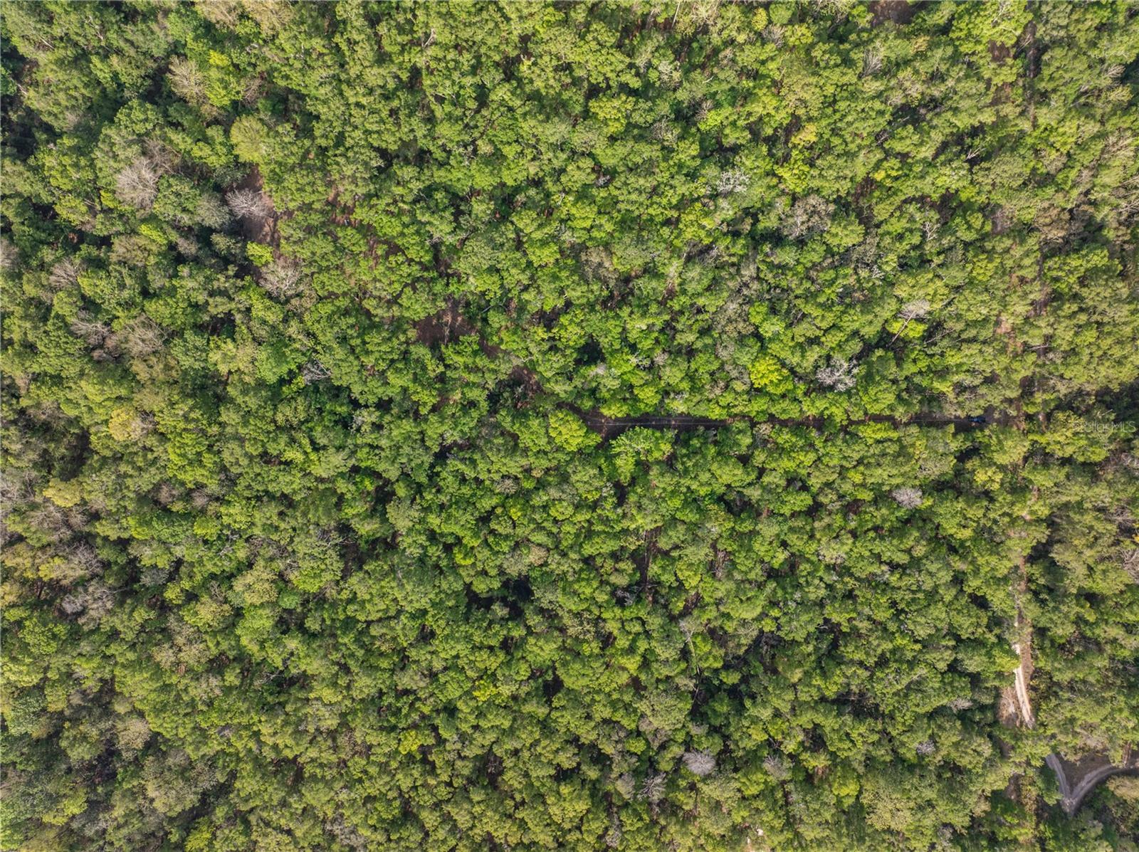 RUM ISLAND RANCHES UNREC. - Land