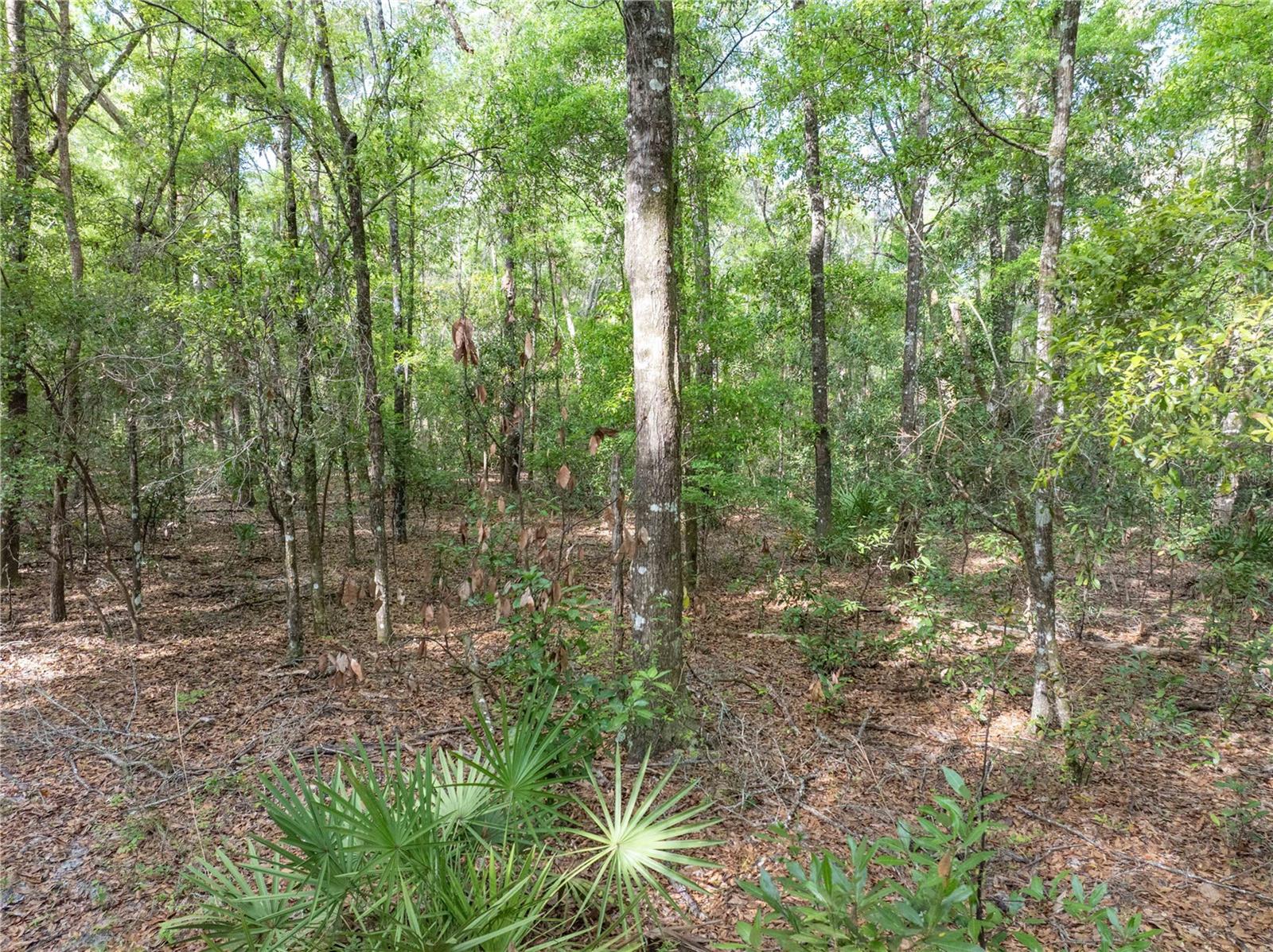 RUM ISLAND RANCHES UNREC. - Land