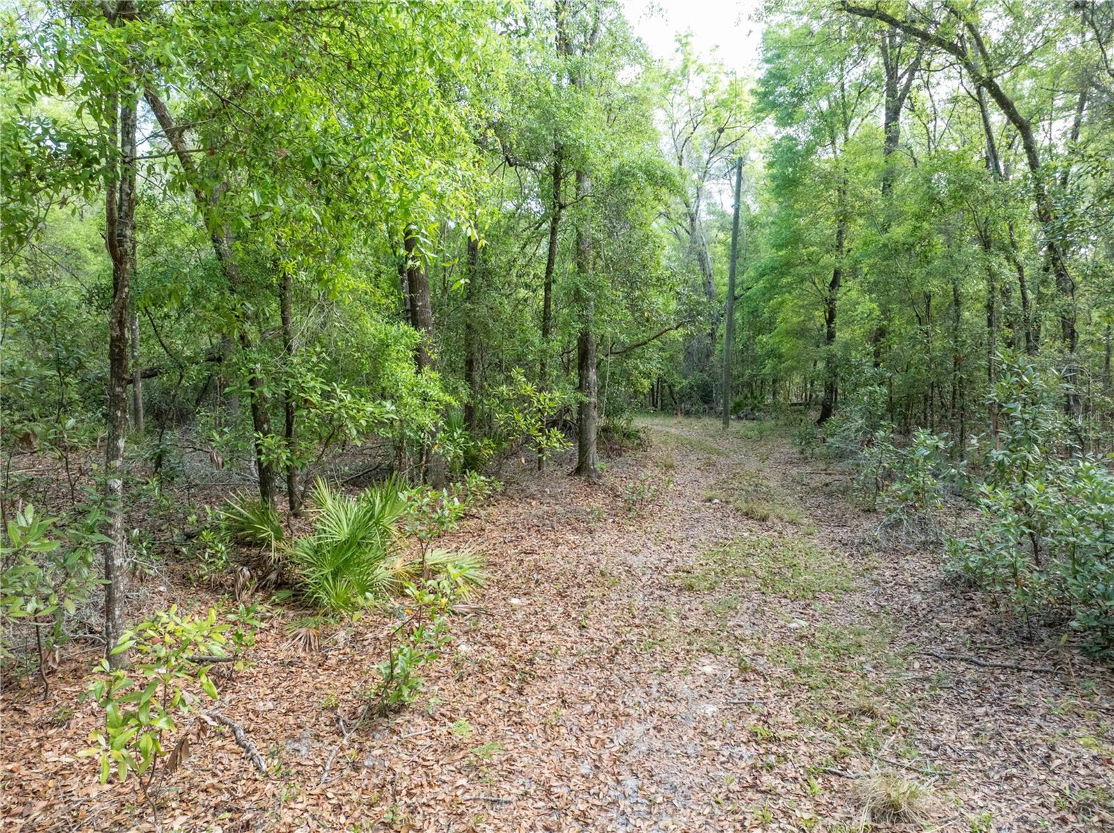 RUM ISLAND RANCHES UNREC. - Land