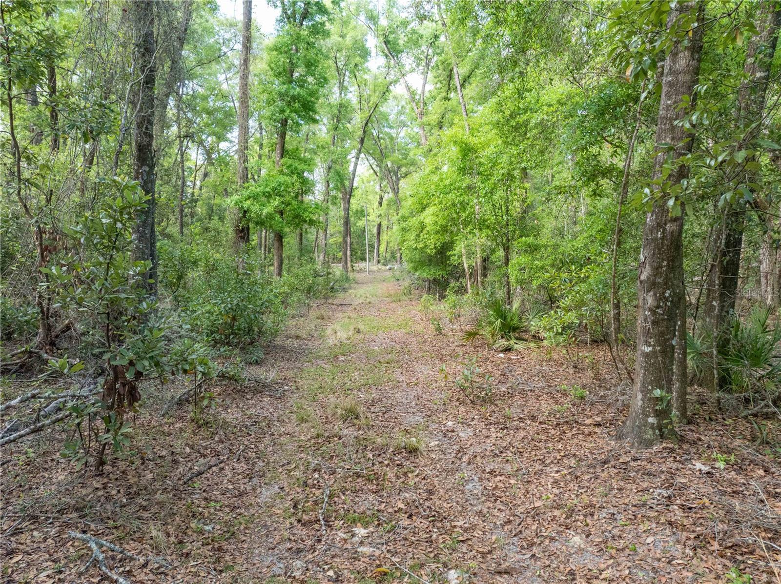 RUM ISLAND RANCHES UNREC. - Land