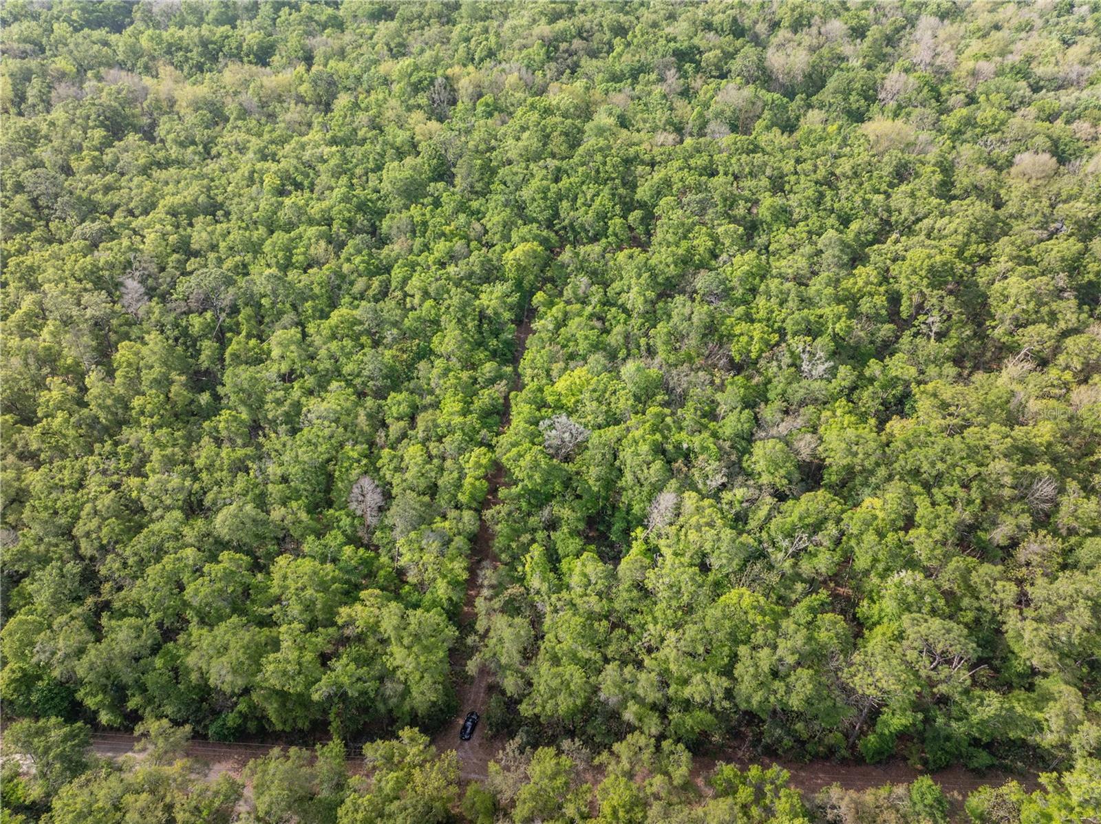 RUM ISLAND RANCHES UNREC. - Land