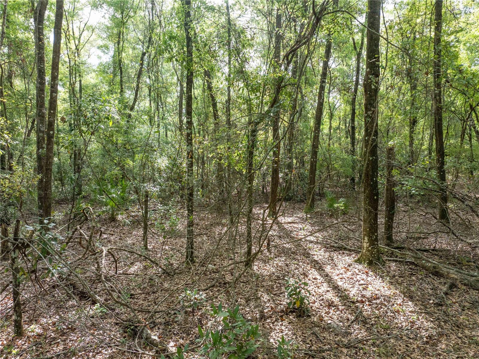 RUM ISLAND RANCHES UNREC. - Land