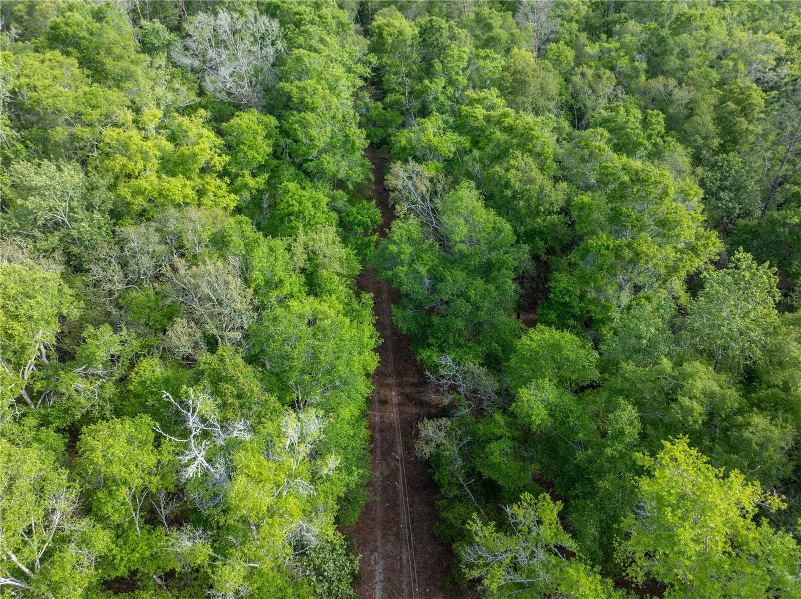 RUM ISLAND RANCHES UNREC. - Land