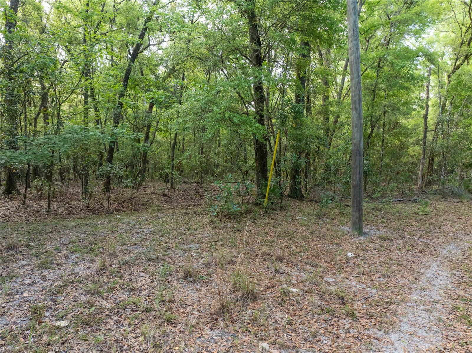 RUM ISLAND RANCHES UNREC. - Land