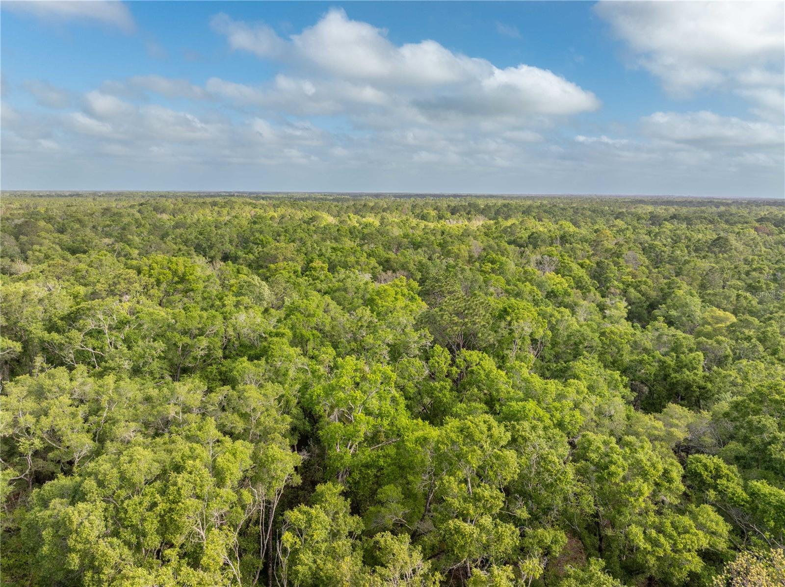 RUM ISLAND RANCHES UNREC. - Land