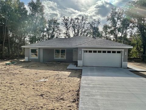 Photo of 64 Guava Pass, Ocklawaha, FL 32179 (MLS # OM715180)