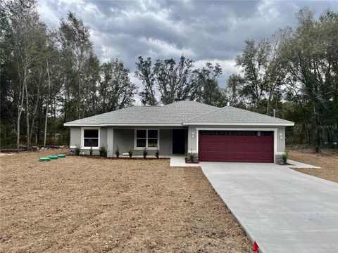 Photo of 64 Guava Pass, Ocklawaha, FL 32179 (MLS # OM715180)