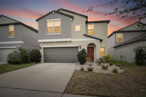 11434 SAGE CANYON DRIVE RIVERVIEW FL 33578