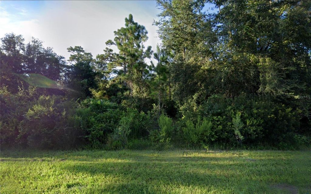 Photo of Quinella Street, Orlando, FL 32833 (MLS # TB8436993)