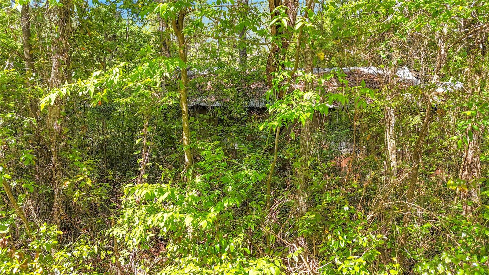 NOT IN SUBDIVISION - Land