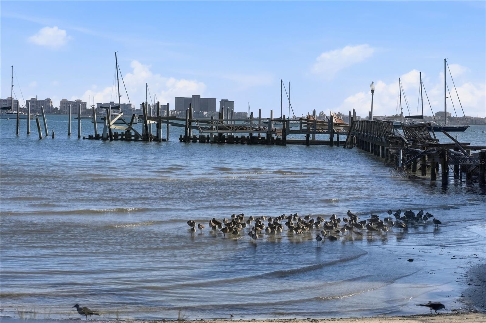 BEACHWAY PARK - Residential