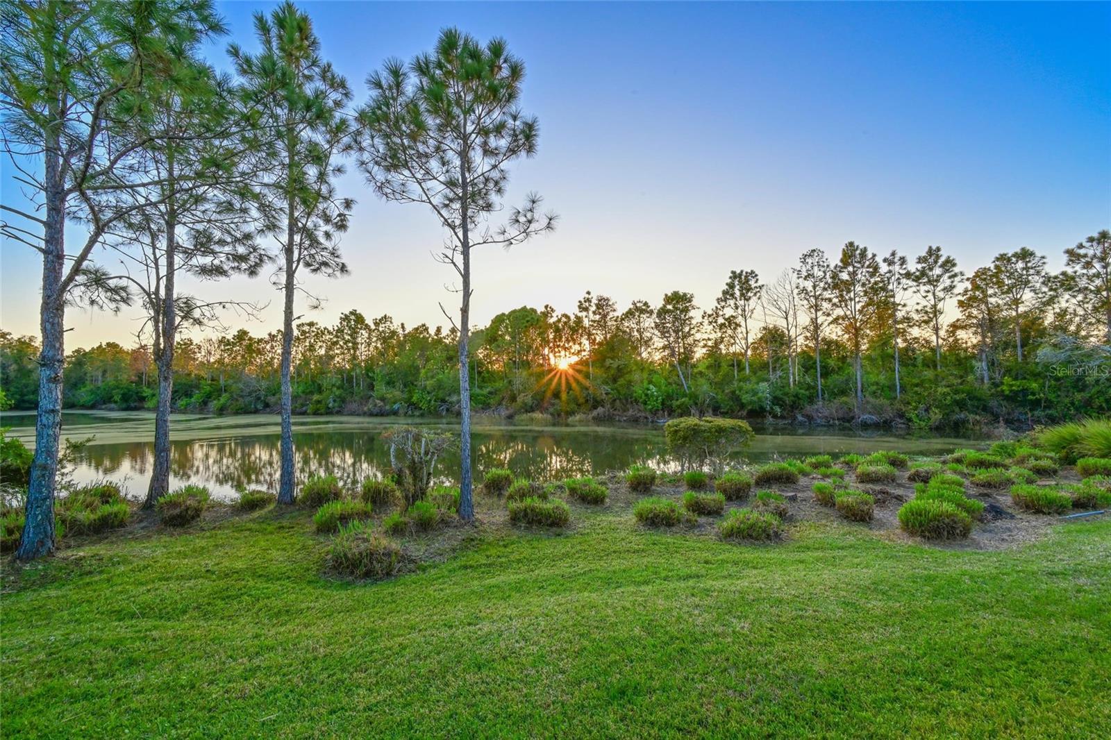 MCKINLEY OAKS - Residential