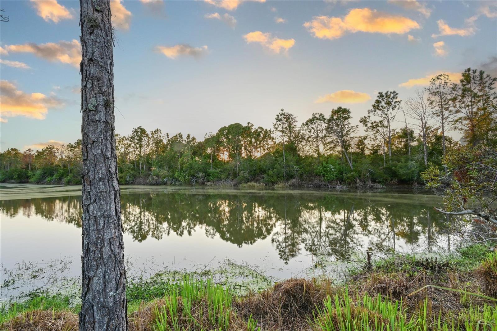 MCKINLEY OAKS - Residential