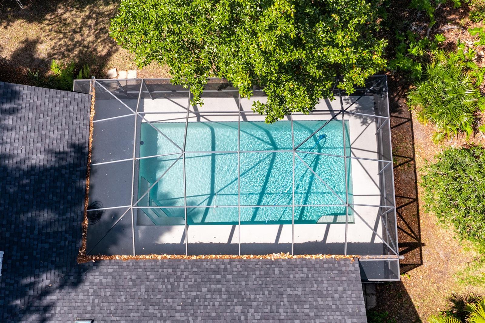 RAINTREE - Residential