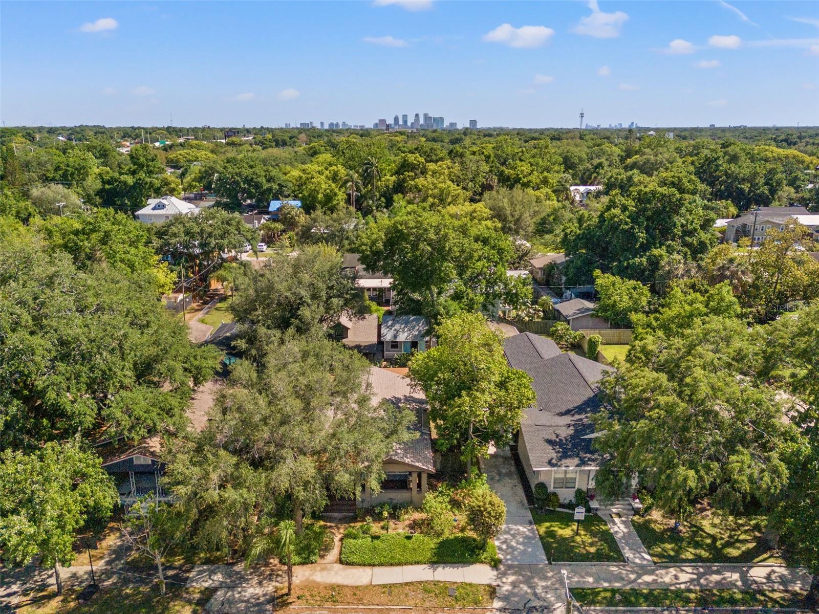SEMINOLE HEIGHTS - Residential