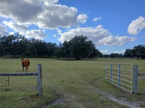 7975 CR 736 CENTER HILL FL 33514