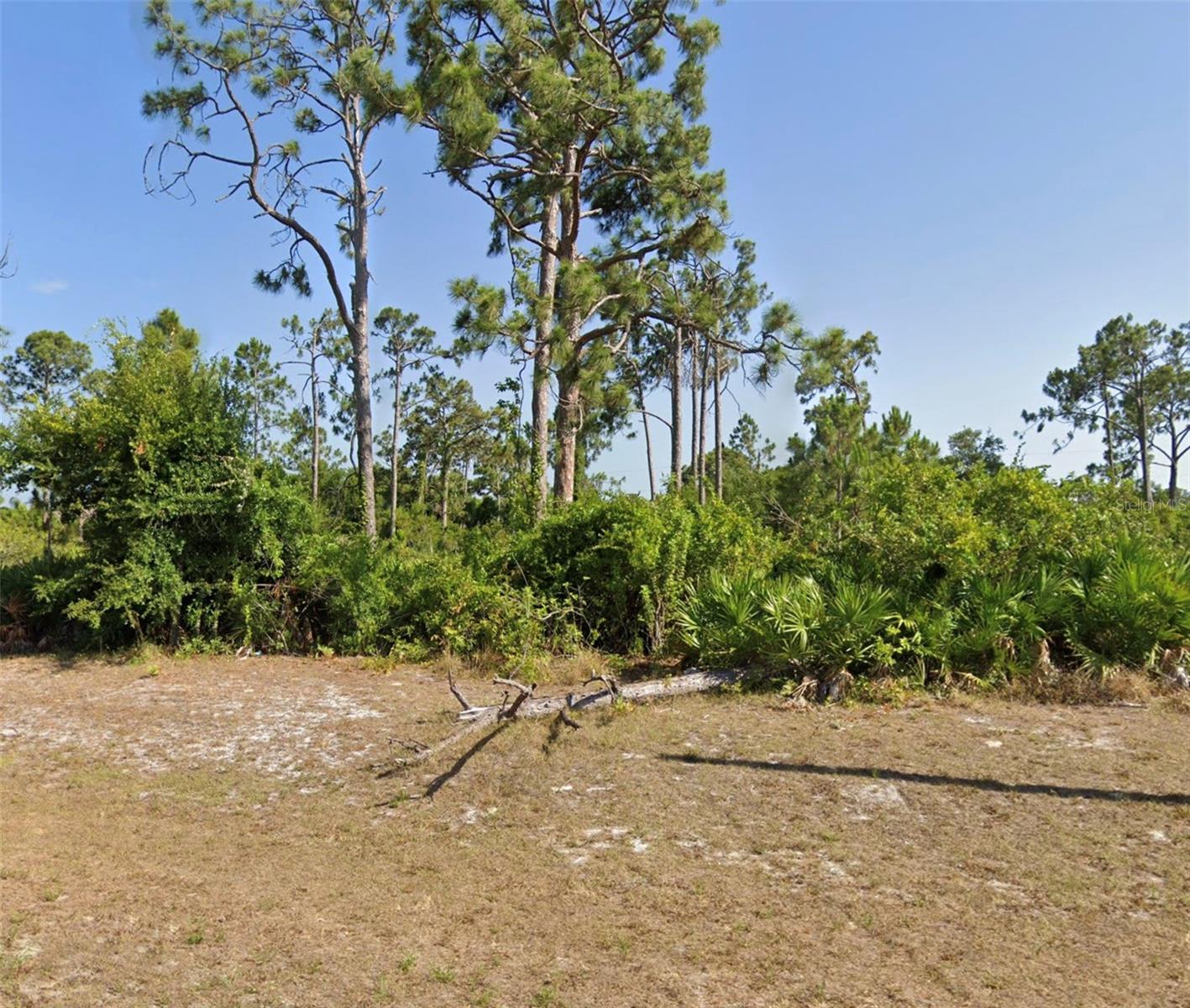 A wonderful residential vacant lot from 30 minutes of the Florida West Coast. Ideal to build your dream house or start your construction home business.This area is growing a lot and if a great option for you. Visit it today!