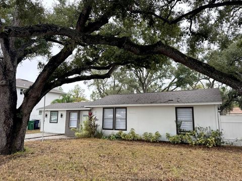 3123 W NAPOLEON AVENUE TAMPA FL 33611