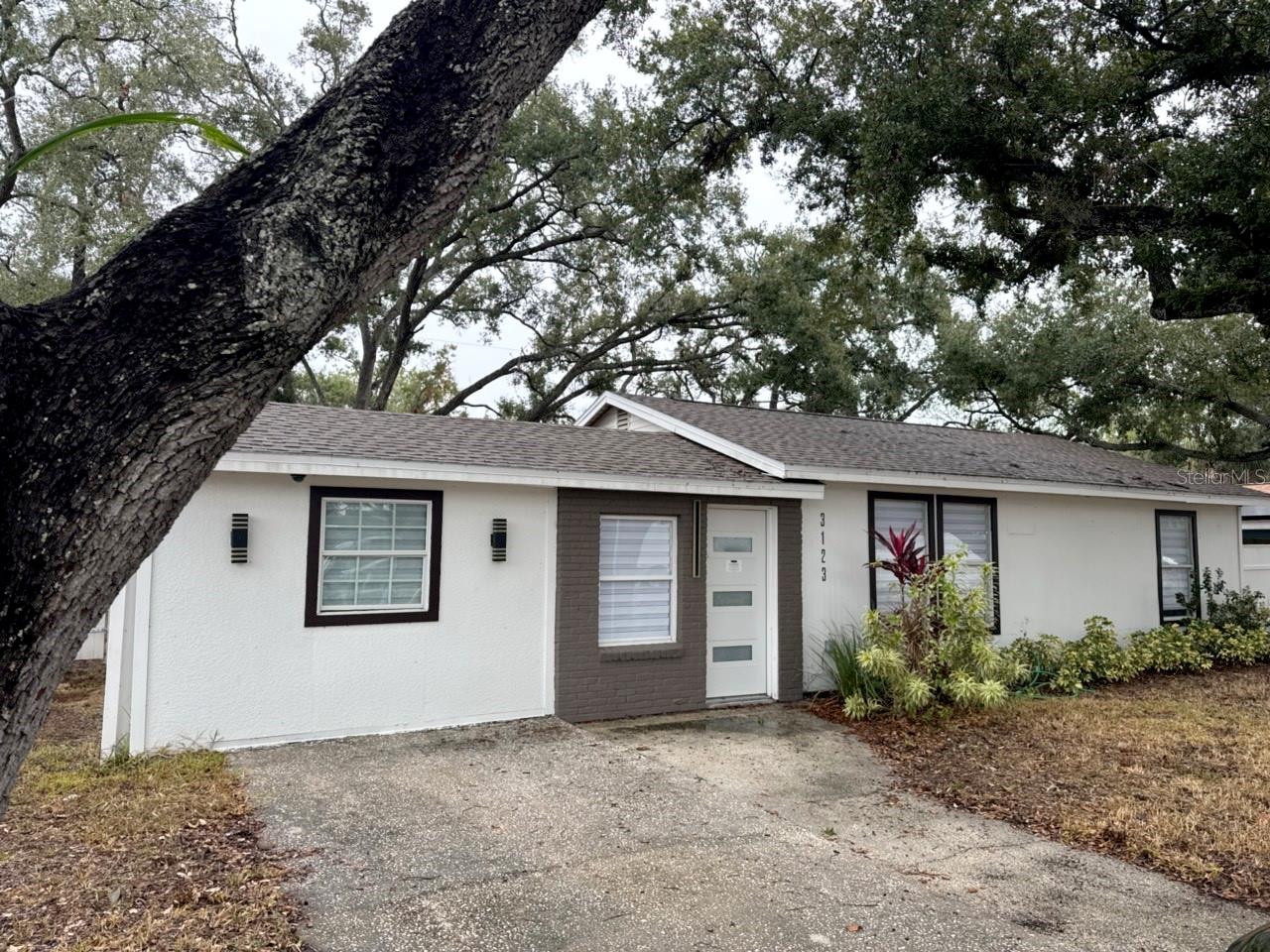 3123 W NAPOLEON AVENUE