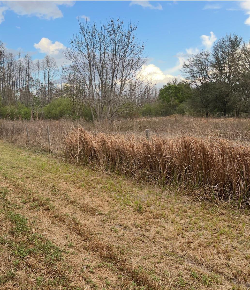 GROVELAND FARMS 29-23-25 - Land