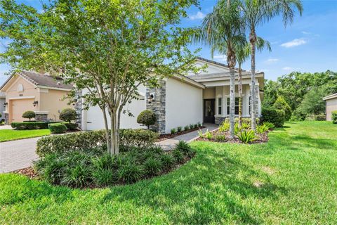 Photo of 30410 Ceasar Park Drive, Wesley Chapel, FL 33543 (MLS # TB8388133)