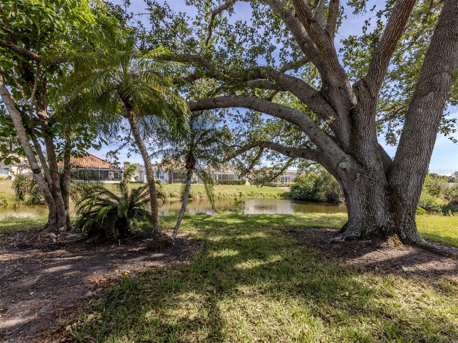 268 SOUTHAMPTON DRIVE 309