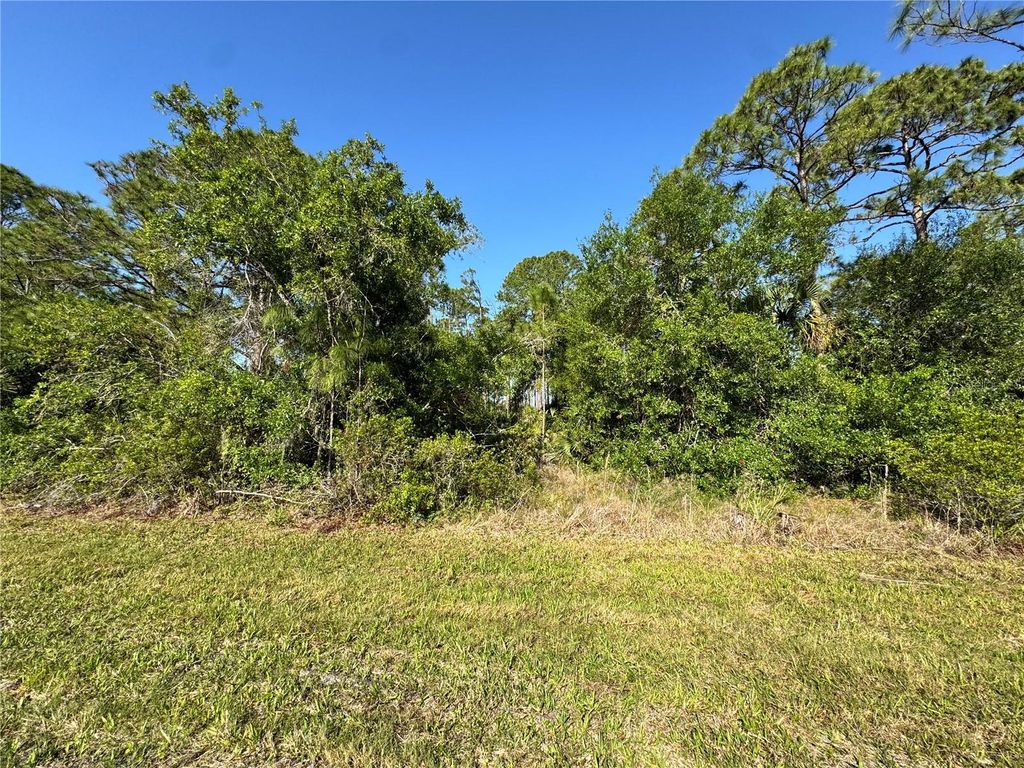 Photo of 65 Biscayne Drive, Port Charlotte, FL 33953 (MLS # C7508181)