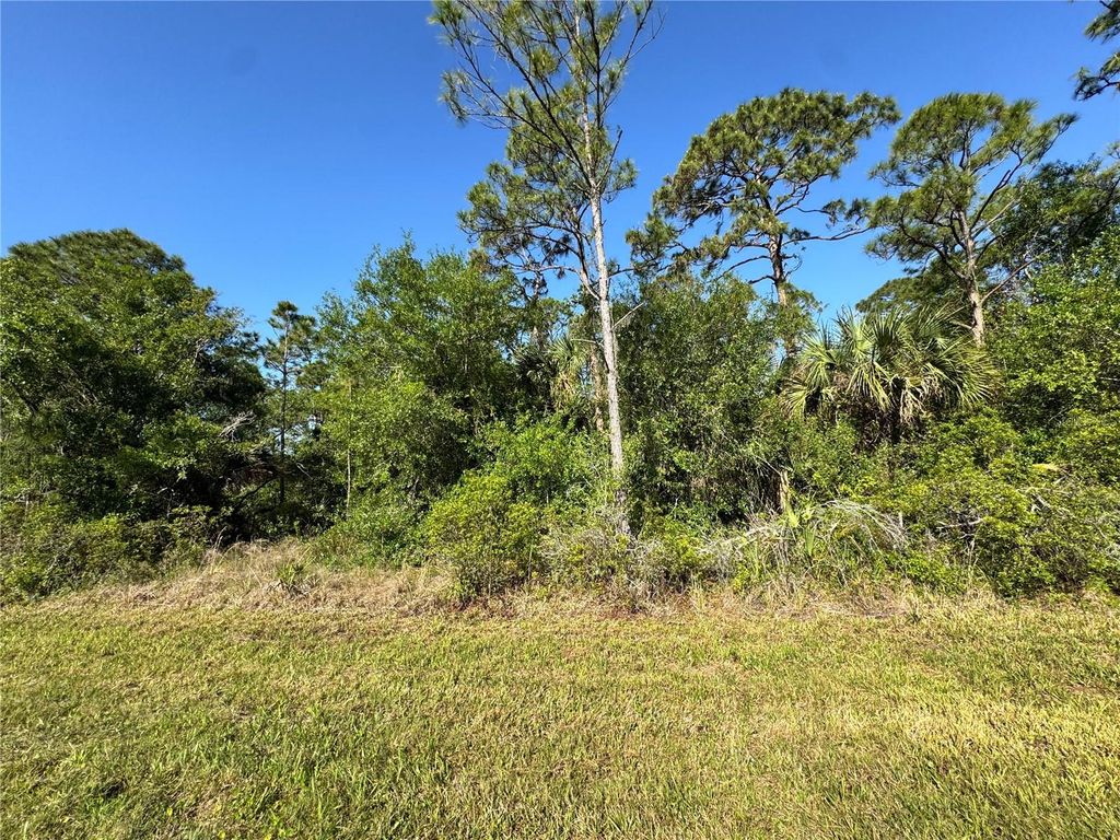 Photo of 65 Biscayne Drive, Port Charlotte, FL 33953 (MLS # C7508181)