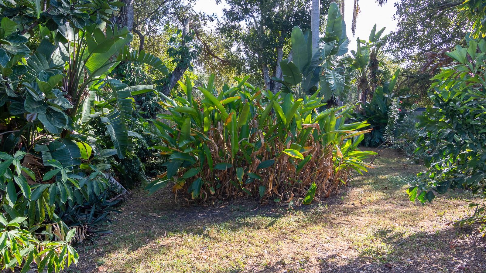 LOCKWOODS - Residential