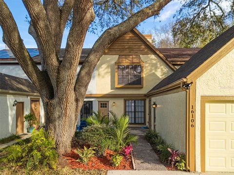 A home in TAMPA