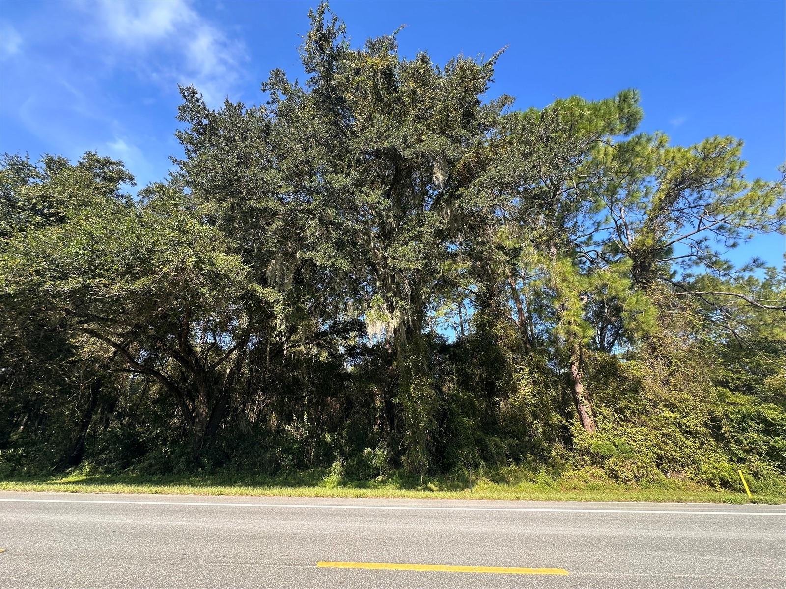 REDUCED PRICE! Do not miss this beautiful piece of property off Treilman Blvd. (Highway 301). There are large, gorgeous, mature oak trees you can leave as a buffer from the road. This is the perfect property to build your dream home. You are in the country but just minutes from town and convenient stores.