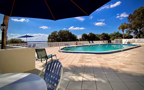 A home in MOUNT DORA