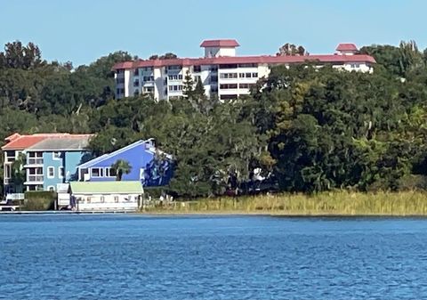 A home in MOUNT DORA