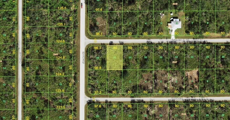 Excellent opportunity to own a vacant residential lot at 14007 Luxo Ave in Port Charlotte, with the added potential to acquire the adjacent parcel at 14001 Luxo Ave, also available from the same seller. Together, these properties have expanded space and flexibility for a larger homesite, enhanced privacy, or future investment positioning. Located on a quiet residential street with nearby homes, this property provides convenient access to shopping, dining, schools, golf, boating, and major roadways. No HOA restrictions reported. Buyer to verify zoning, utilities, flood zone designation, and building requirements with Charlotte County.