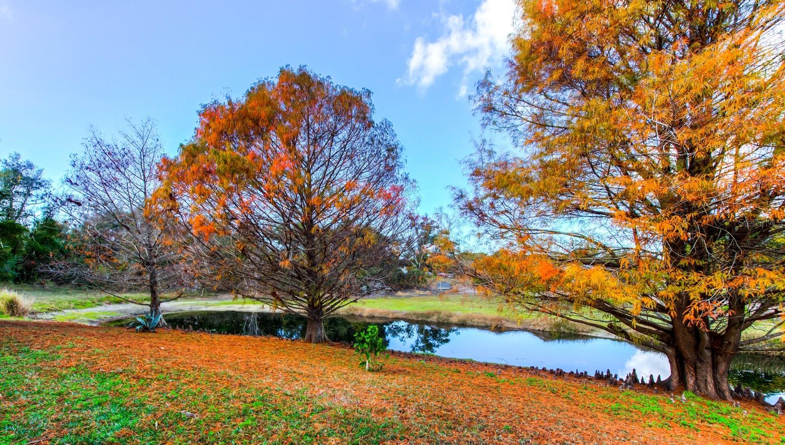 WOODMERE LAKES - Residential