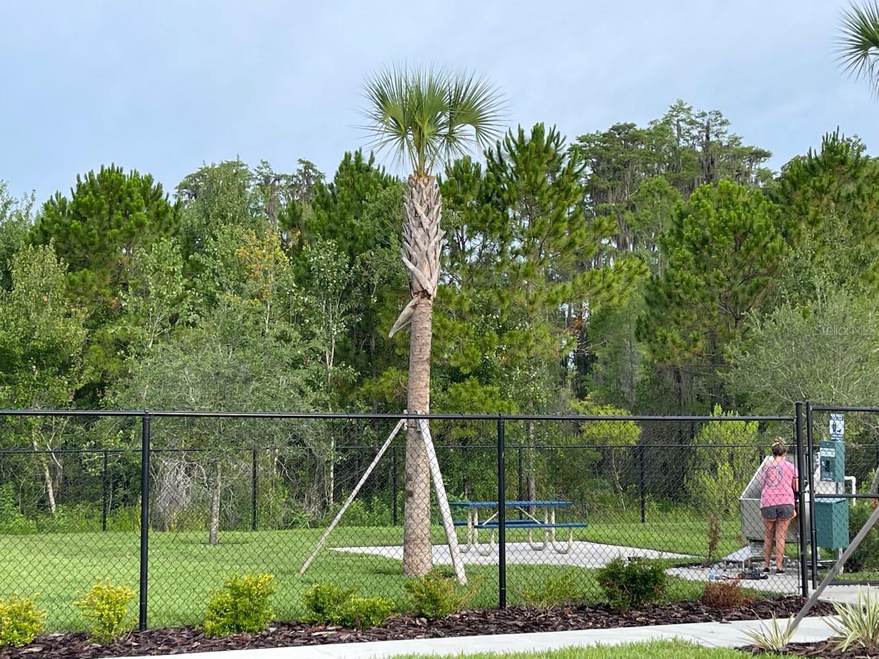 THE PRESERVE - Residential Lease