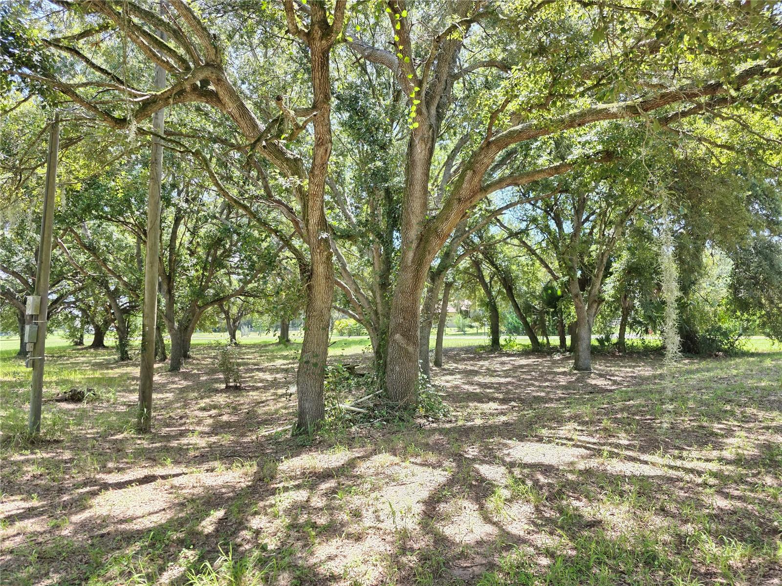 2587 NE 60TH COURT 132