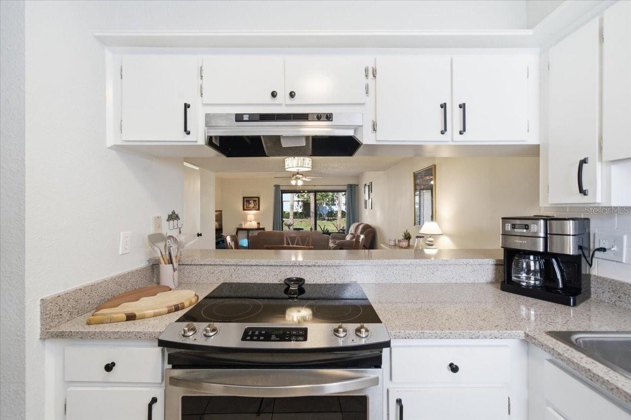 TOWNHOMES OF LAKE SEMINOLE - Residential