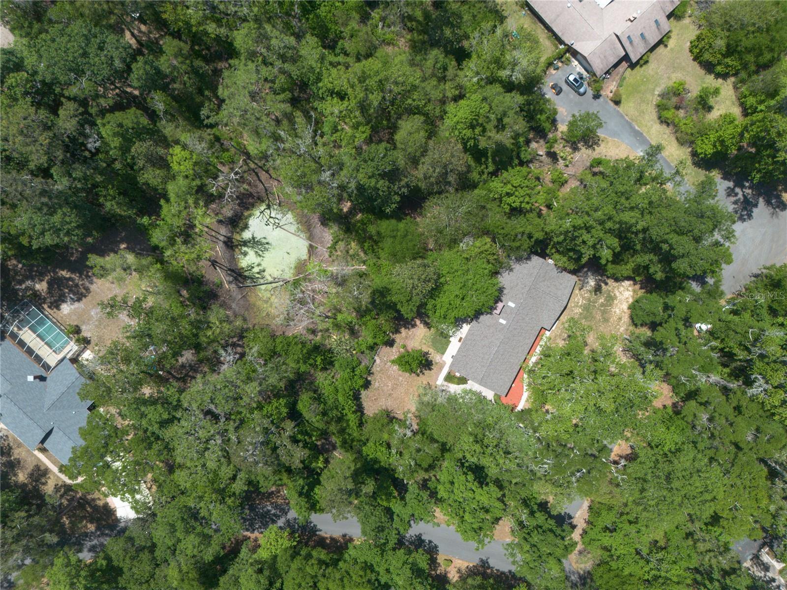 SPRING FOREST - Residential