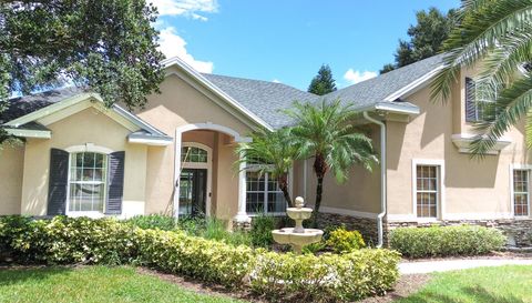 A home in POLK CITY