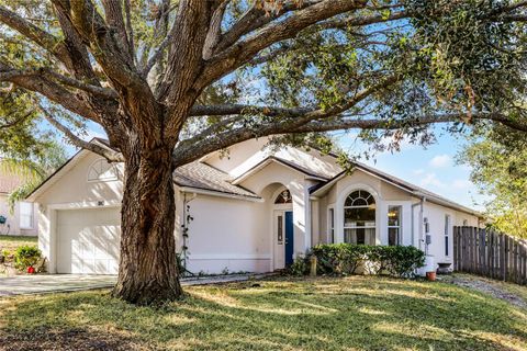 A home in MINNEOLA