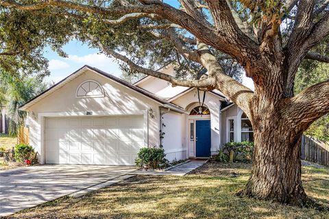 A home in MINNEOLA