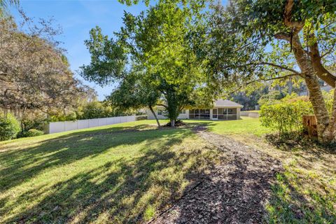 Tiny photo for 120 E Croton Way, Howey In The Hills, FL 34737 (MLS # G5105448)