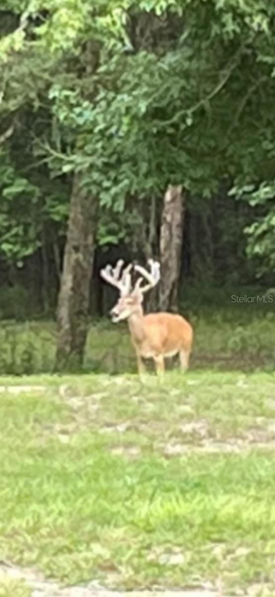 THE VILLAGE AT HIDDEN LAKES - Residential