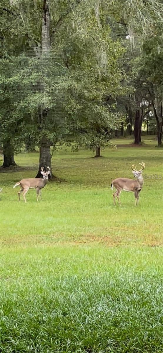 14479 NW 147TH COURT